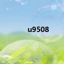 u9508