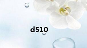 d510