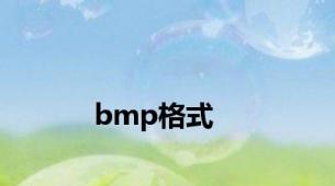 bmp格式