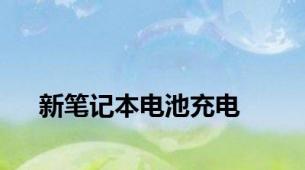 新笔记本电池充电