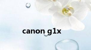 canon g1x