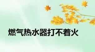 燃气热水器打不着火